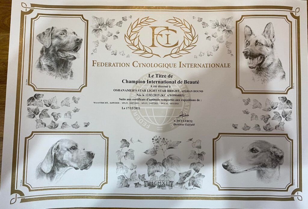 Int Title